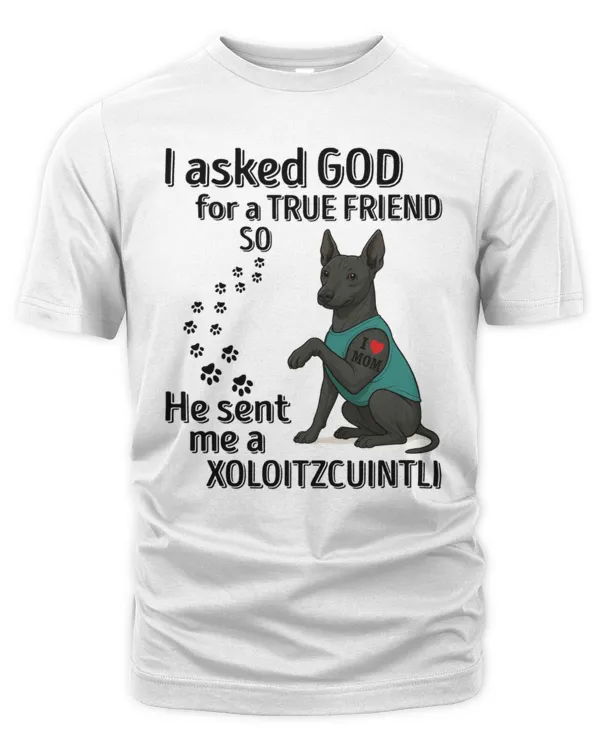 Men's Premium Tshirt