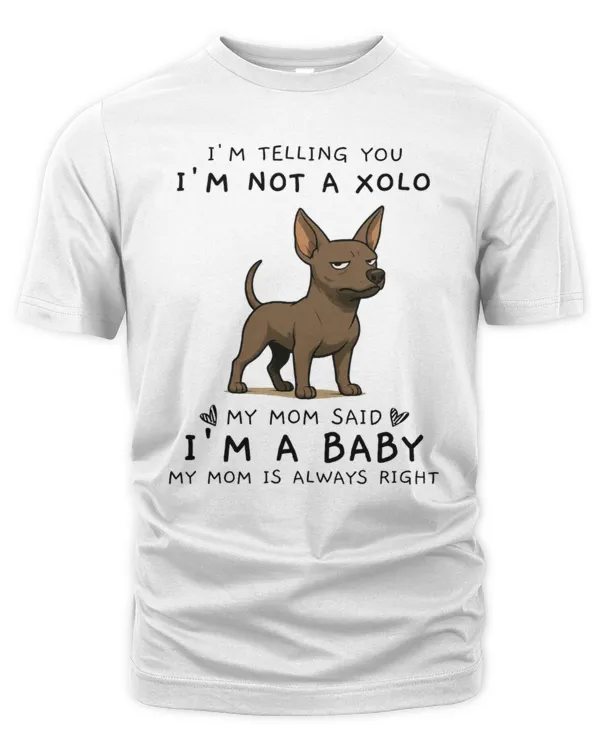 Men's Premium Tshirt