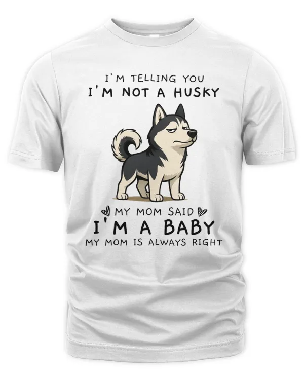 Men's Premium Tshirt