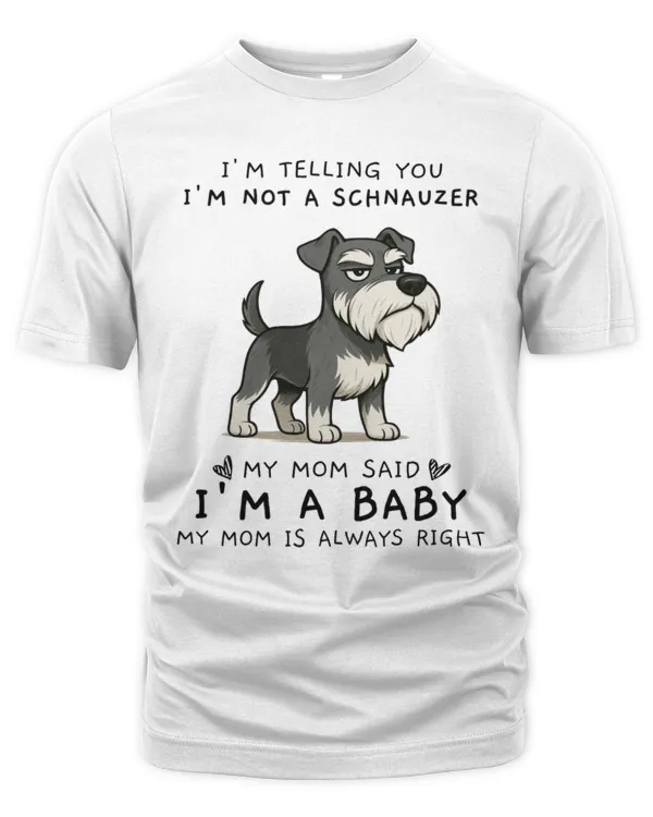 Men's Premium Tshirt