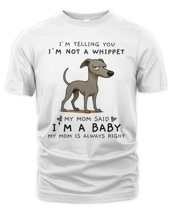 Men's Premium Tshirt