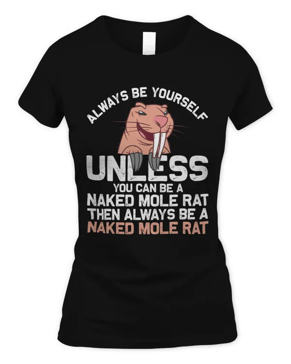 Women's Soft Style Fitted T-Shirt