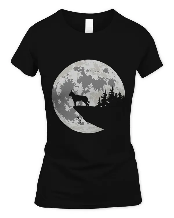 Women's Soft Style Fitted T-Shirt