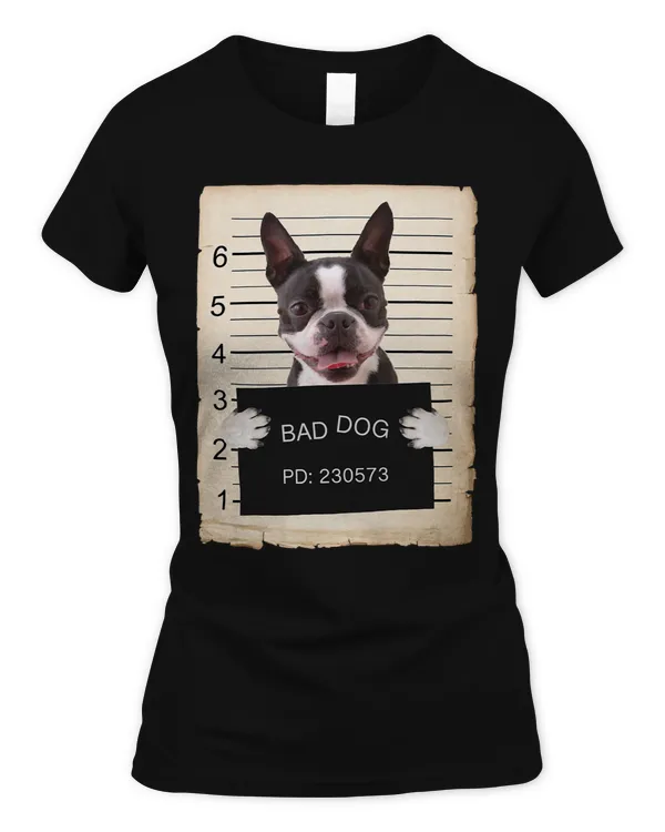 Women's Soft Style Fitted T-Shirt