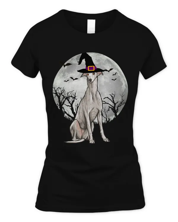 Women's Soft Style Fitted T-Shirt