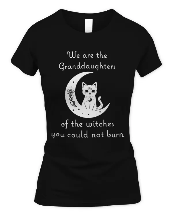 Women's Soft Style Fitted T-Shirt