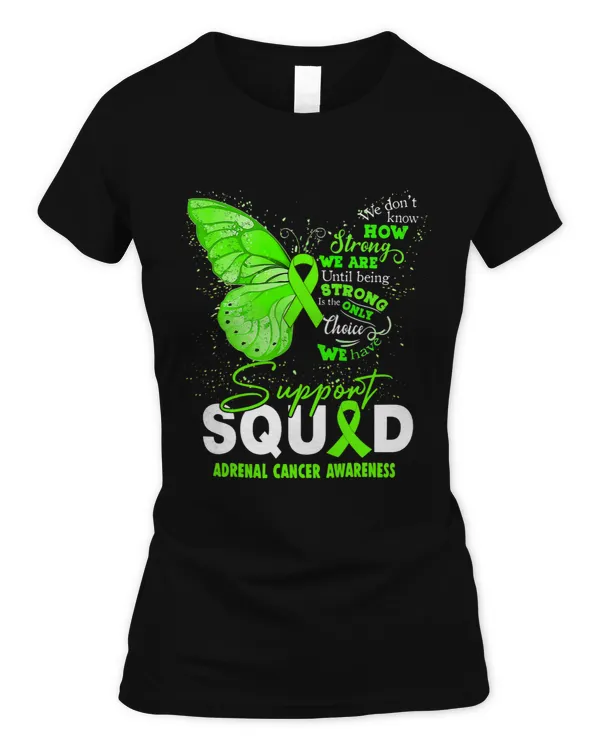 Women's Soft Style Fitted T-Shirt
