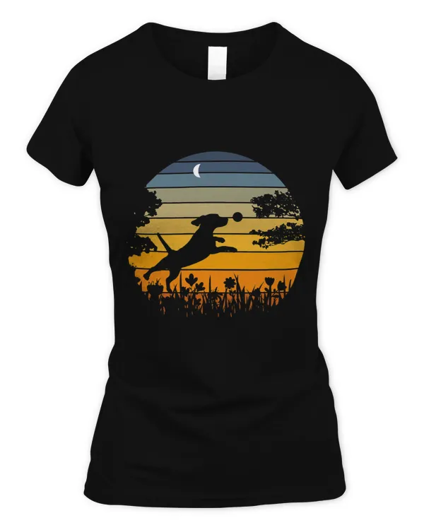 Women's Soft Style Fitted T-Shirt