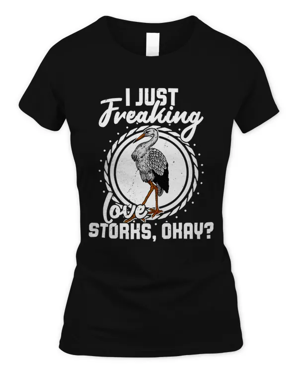 Women's Soft Style Fitted T-Shirt