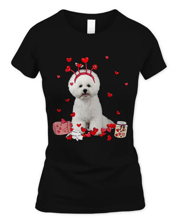 Women's Soft Style Fitted T-Shirt