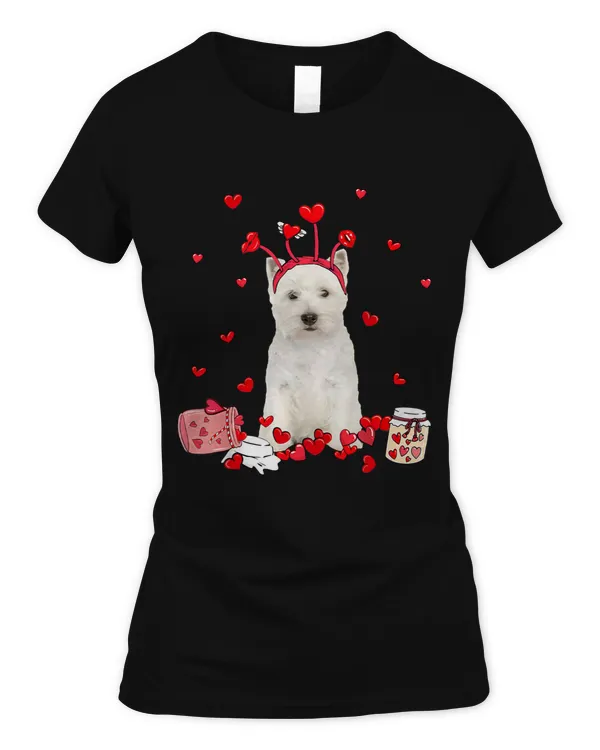 Women's Soft Style Fitted T-Shirt