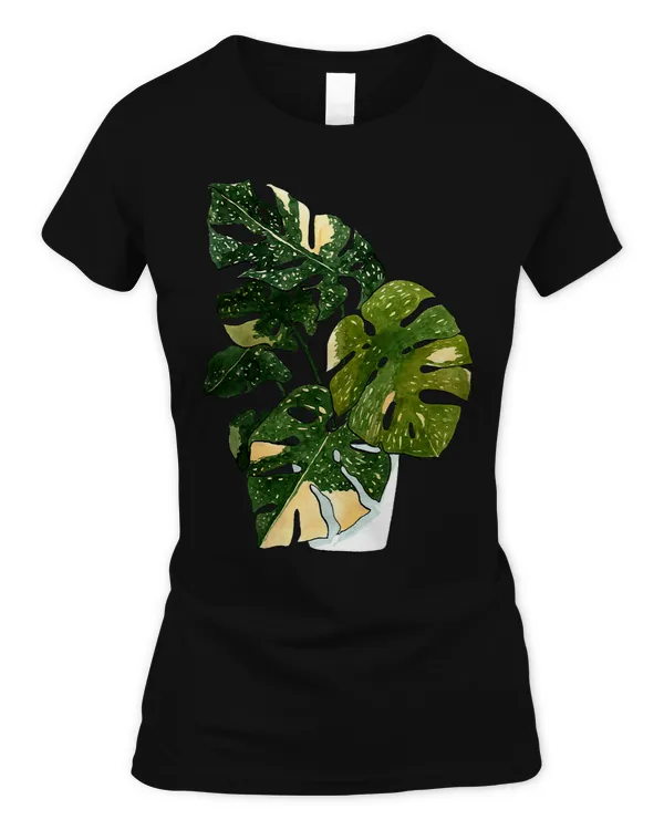 Women's Soft Style Fitted T-Shirt