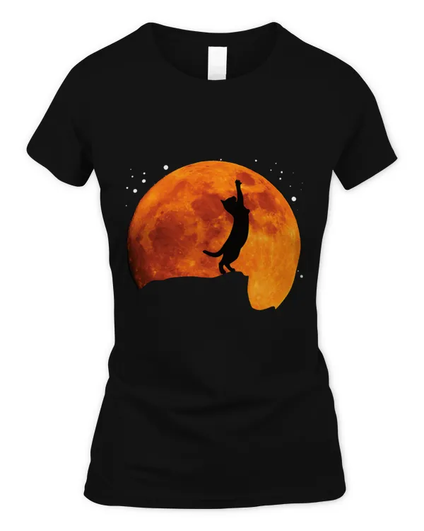 Women's Soft Style Fitted T-Shirt