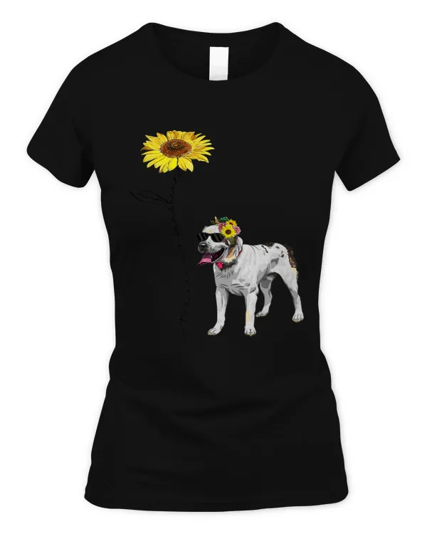Women's Soft Style Fitted T-Shirt