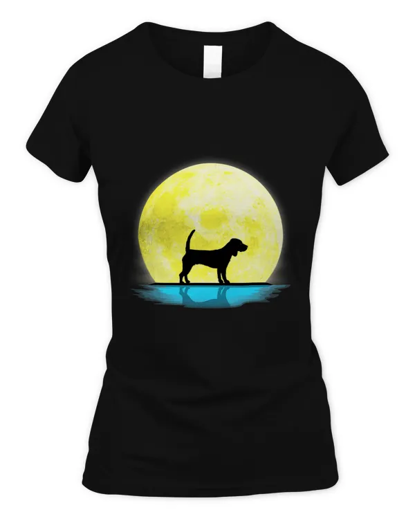 Women's Soft Style Fitted T-Shirt
