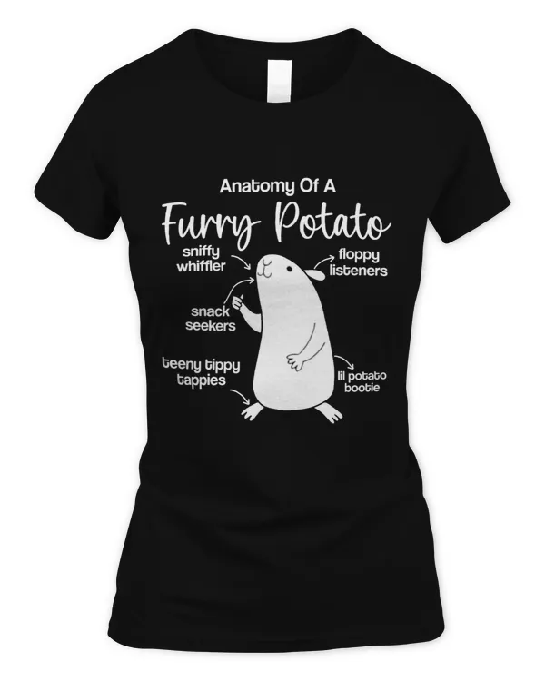Women's Soft Style Fitted T-Shirt