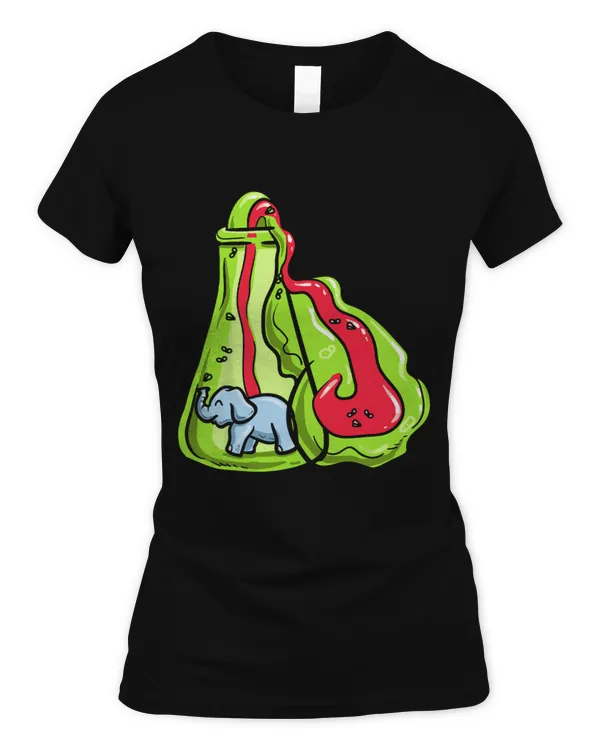 Women's Soft Style Fitted T-Shirt
