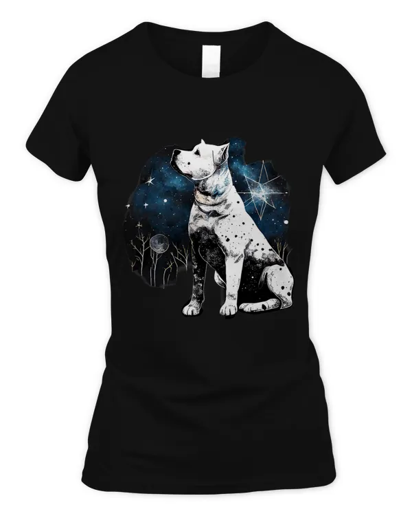 Women's Soft Style Fitted T-Shirt
