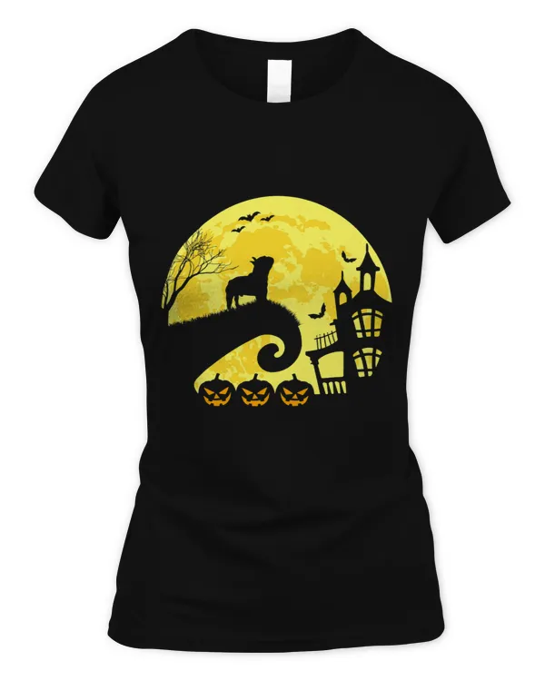 Women's Soft Style Fitted T-Shirt