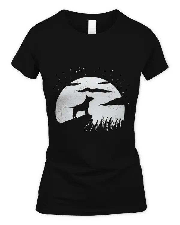 Women's Soft Style Fitted T-Shirt