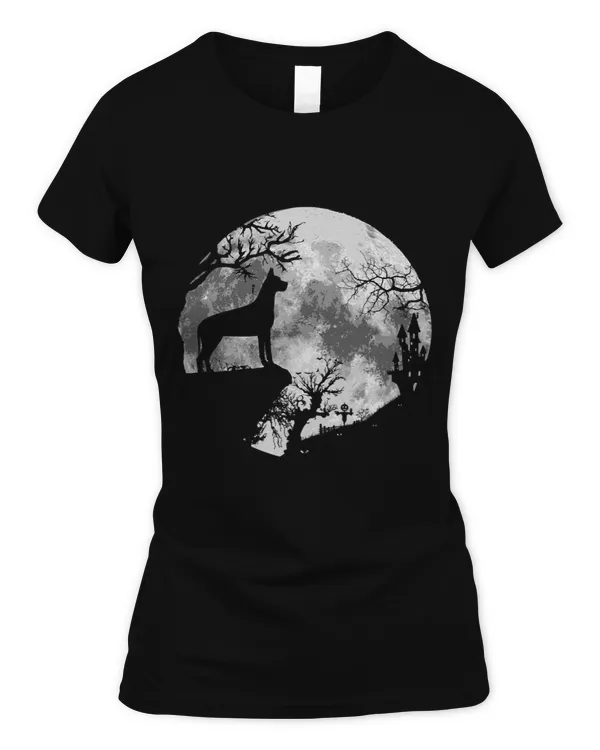 Women's Soft Style Fitted T-Shirt