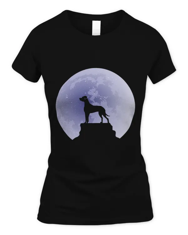 Women's Soft Style Fitted T-Shirt