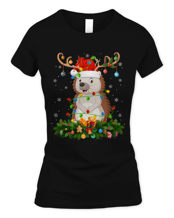 Women's Soft Style Fitted T-Shirt