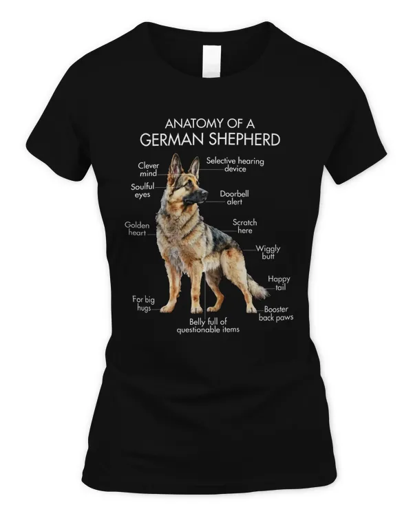 Women's Soft Style Fitted T-Shirt