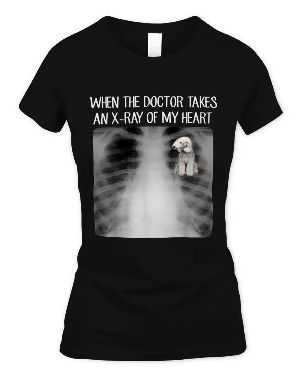 Women's Soft Style Fitted T-Shirt