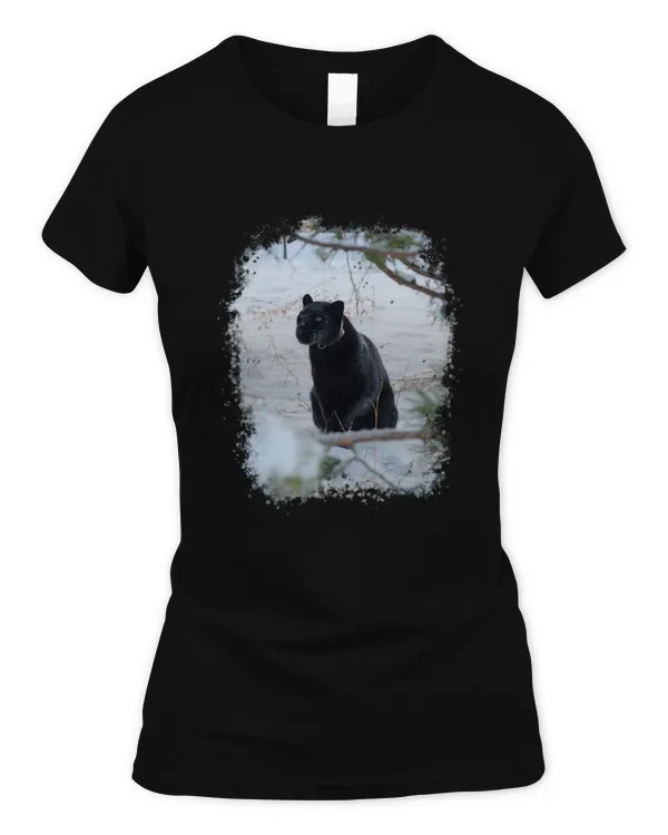 Women's Soft Style Fitted T-Shirt