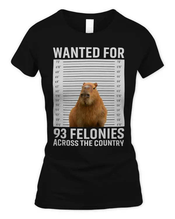 Women's Soft Style Fitted T-Shirt