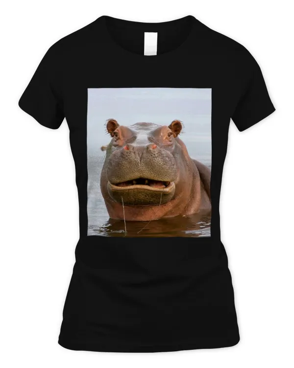 Women's Soft Style Fitted T-Shirt