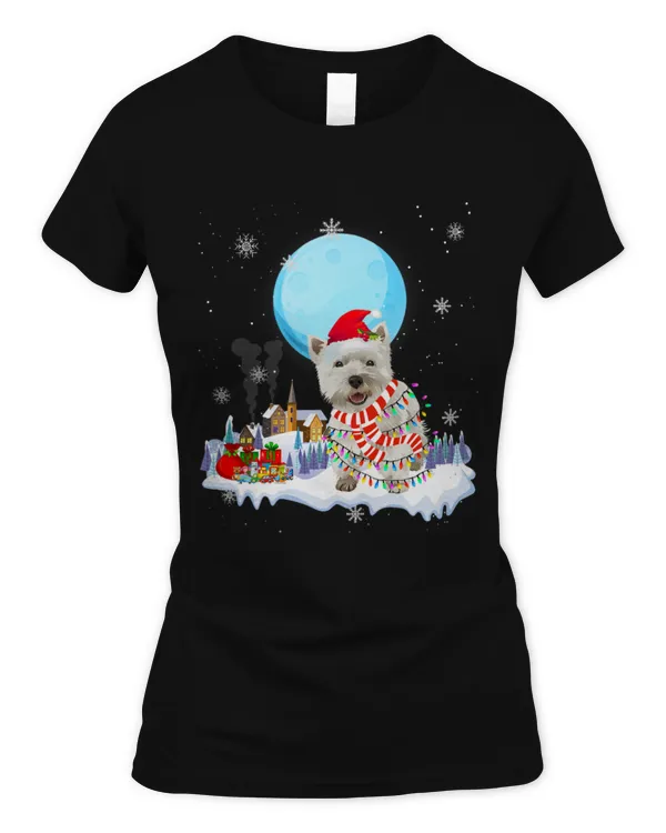 Women's Soft Style Fitted T-Shirt