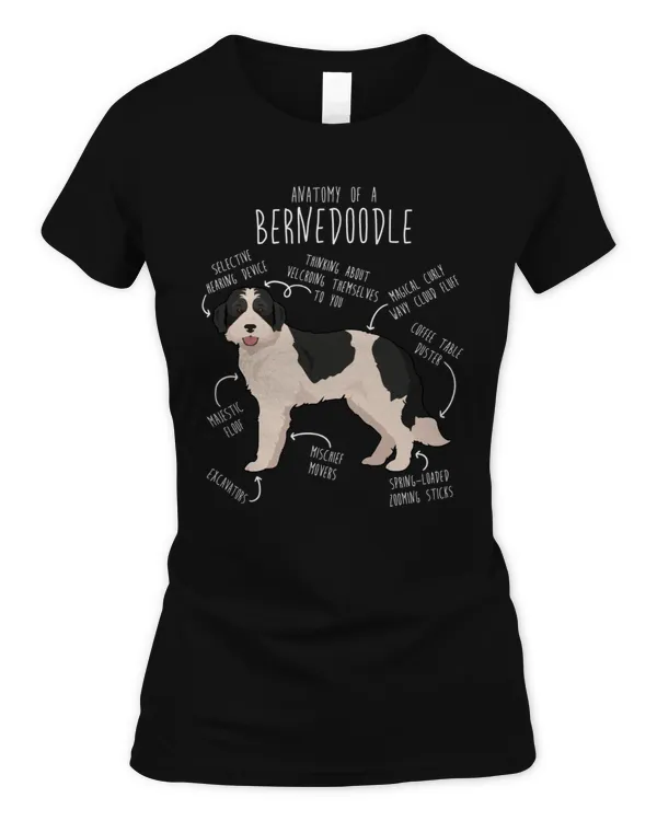 Women's Soft Style Fitted T-Shirt