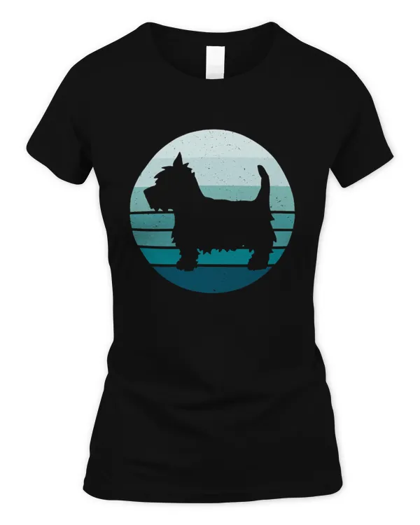 Women's Soft Style Fitted T-Shirt