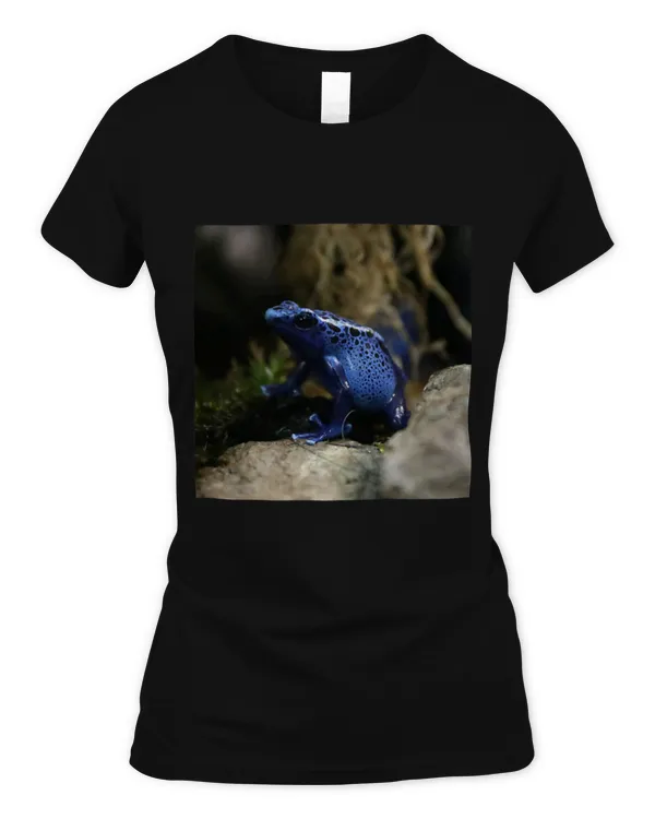 Women's Soft Style Fitted T-Shirt