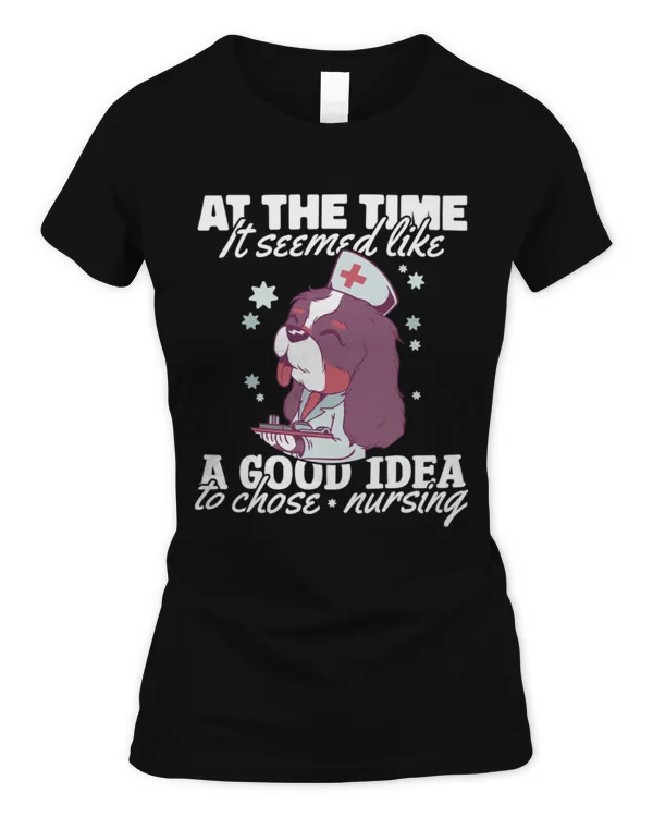 Women's Soft Style Fitted T-Shirt