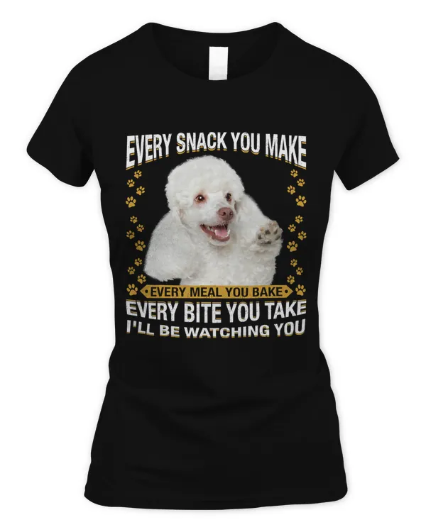 Women's Soft Style Fitted T-Shirt