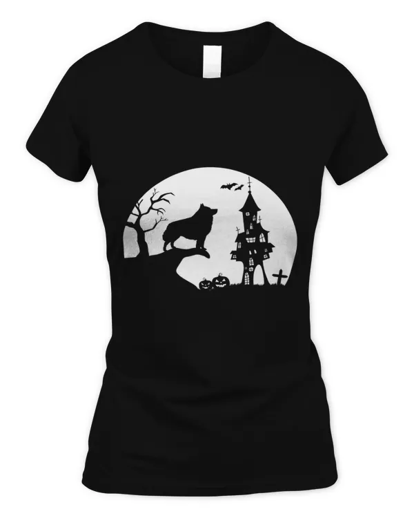Women's Soft Style Fitted T-Shirt