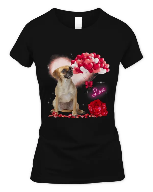 Women's Soft Style Fitted T-Shirt