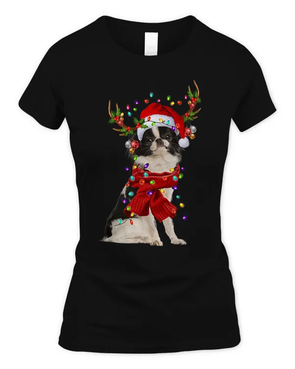 Women's Soft Style Fitted T-Shirt