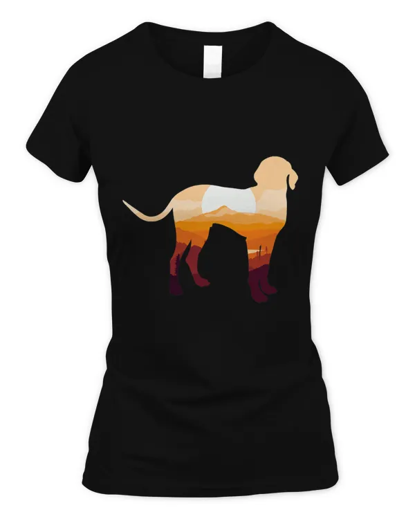 Women's Soft Style Fitted T-Shirt