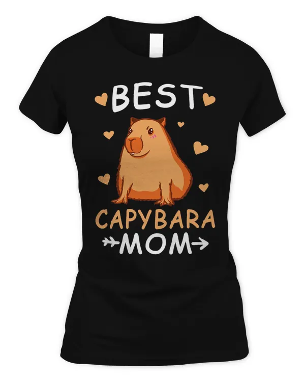 Women's Soft Style Fitted T-Shirt