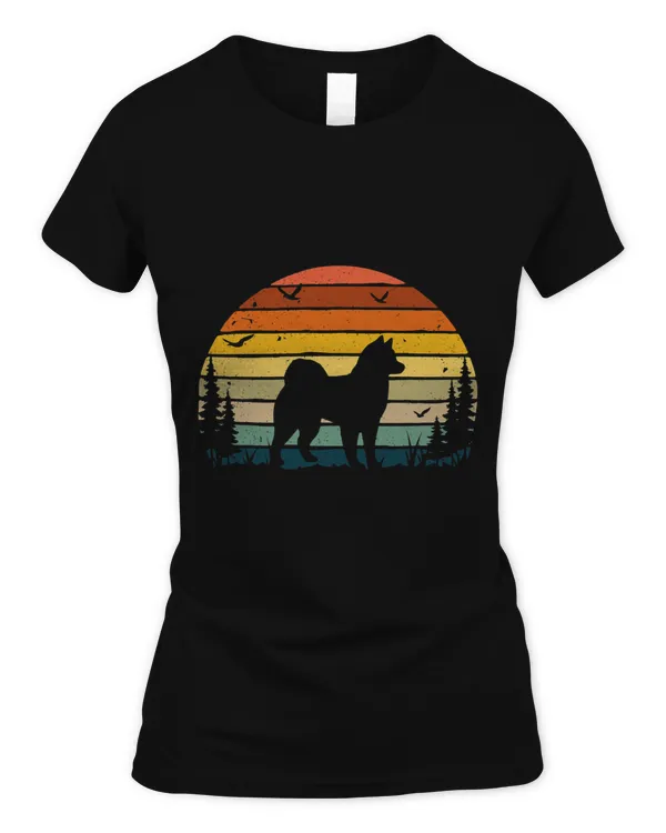 Women's Soft Style Fitted T-Shirt