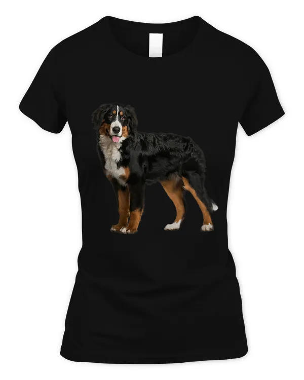 Women's Soft Style Fitted T-Shirt