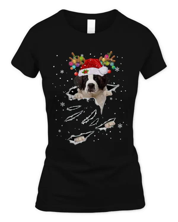 Women's Soft Style Fitted T-Shirt