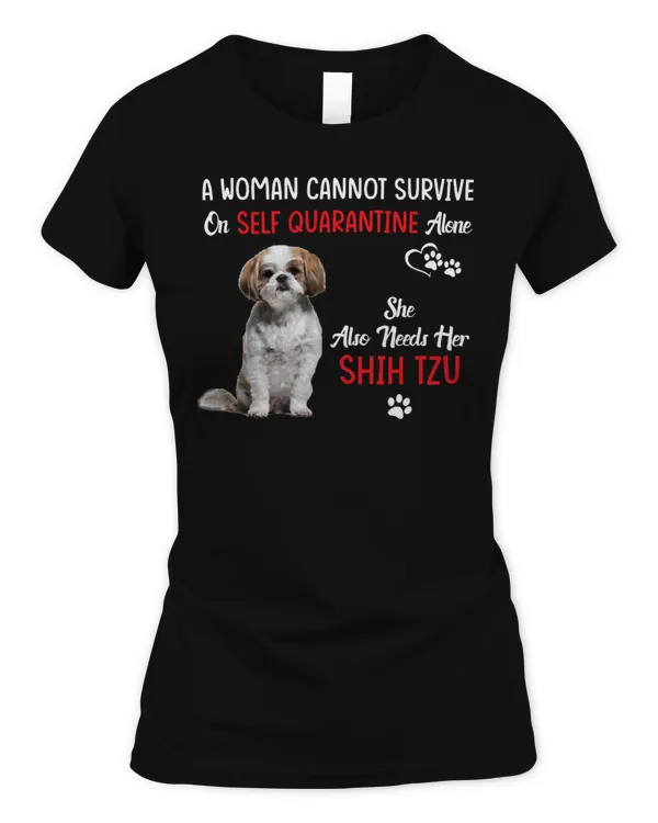 Women's Soft Style Fitted T-Shirt