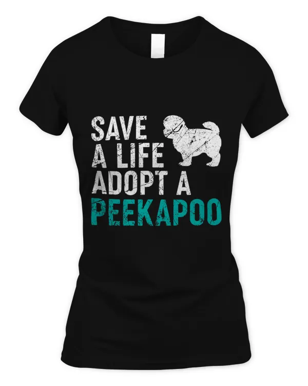 Women's Soft Style Fitted T-Shirt