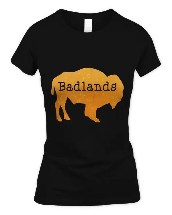 Women's Soft Style Fitted T-Shirt