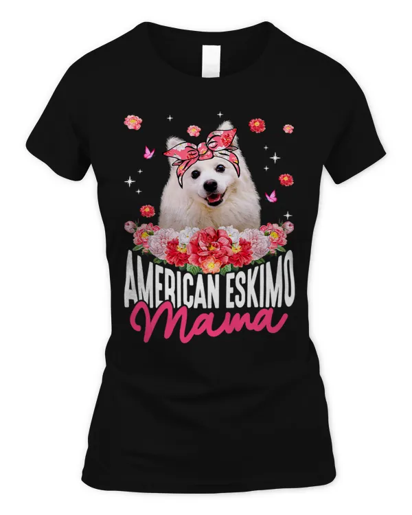 Women's Soft Style Fitted T-Shirt